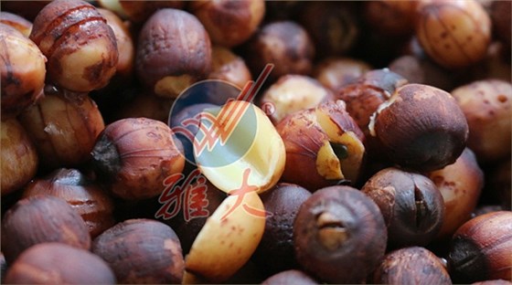 4.1、蒸鏈子細(xì)節(jié)圖