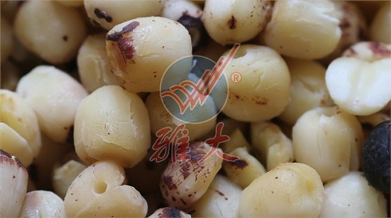 4.1蒸蓮子細(xì)節(jié)圖