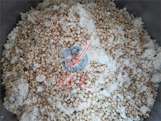 去皮蓮子與大米飯混合均勻