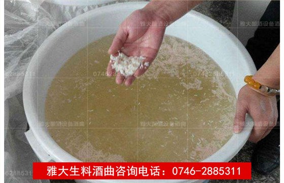 【釀酒技術(shù)】生料釀酒注意事項(xiàng)答疑