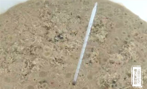 【釀酒技術(shù)】影響白酒出酒率的因素