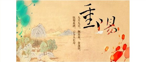 【烤酒設備】重陽節(jié)你喝菊花酒了嗎？