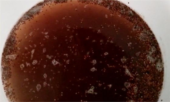 如何利用雅大燒酒設(shè)備釀造四川粳高粱小曲酒？——浸泡高粱