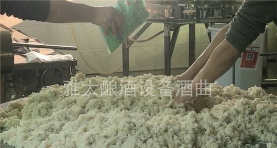 燒酒設(shè)備/做福建米酒攤涼時注意這4點(diǎn)，降溫迅速不結(jié)團(tuán)