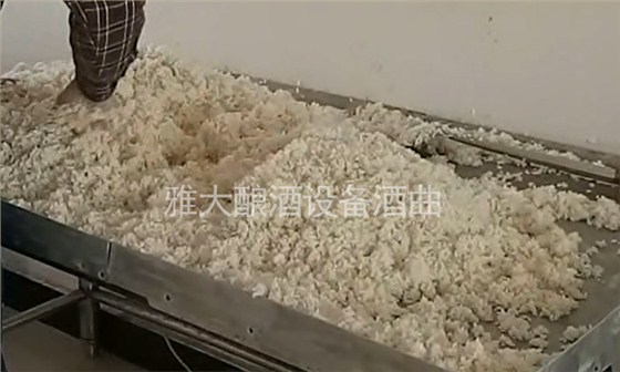 燒酒設(shè)備/做福建米酒攤涼時注意這4點(diǎn)，降溫迅速不結(jié)團(tuán)