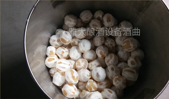 6張圖帶你親臨雅大蒸酒設(shè)備檸檬酒制作現(xiàn)場(chǎng)