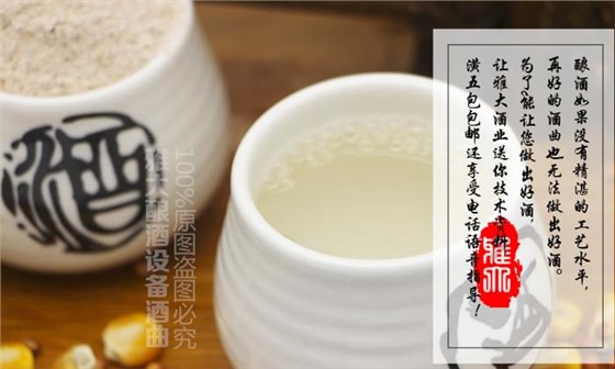 喝酒是否上頭口干，跟酒曲的好壞有直接關(guān)系嗎？04