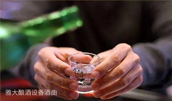 沒一技之長學(xué)什么好創(chuàng)業(yè)用糧食釀酒設(shè)備做酒前景好嗎？04