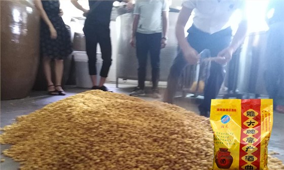 4步教您用糧食釀酒設備做固態(tài)玉米酒，純實操！-06