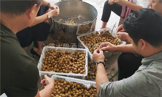 純實(shí)操！雅大大型釀酒設(shè)備釀酒師教泰國華裔制作龍眼酒-02