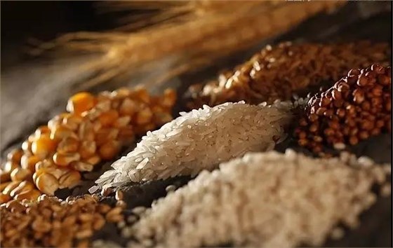 比傳統(tǒng)釀酒設(shè)備效率低下更糟糕的，是您無(wú)法打破傳統(tǒng)思維模式-04