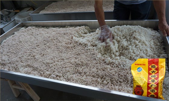 用大型釀酒設(shè)備做廣東米酒遇到這7點，看老師傅是如何解決的！-01-大米拌曲