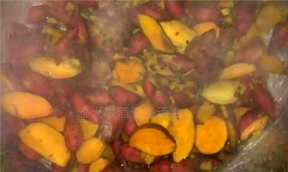 一般的糧食釀酒設(shè)備可以用來做紅薯酒嗎？-01-紅薯釀酒