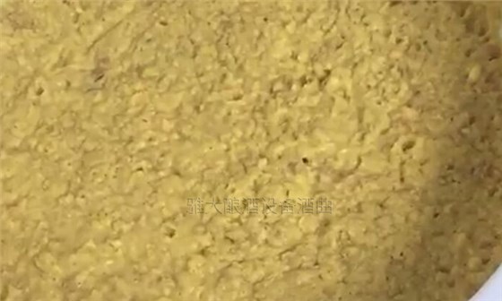 大型釀酒設(shè)備怎樣做出好喝的紅薯酒？紅薯釀酒方法！-06-紅薯釀酒發(fā)酵