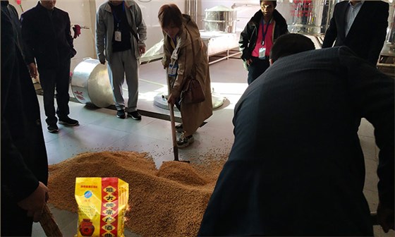 「釀酒教學(xué)」7步教您用專業(yè)釀酒設(shè)備做固態(tài)小麥酒，純實(shí)操！-04-小麥釀酒加入雅大高產(chǎn)酒曲