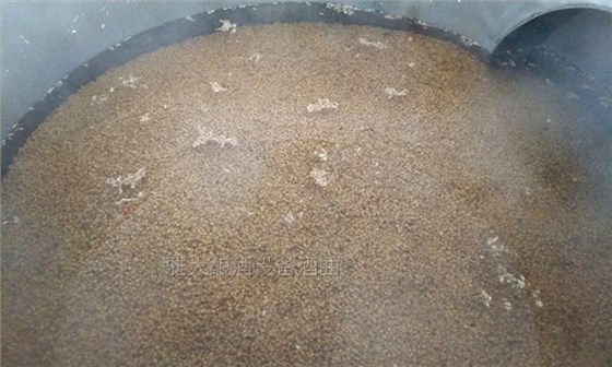 雅大邀您到酒廠用白酒蒸酒設(shè)備實(shí)操釀青稞酒，青稞酒實(shí)操教學(xué)！-02--泡糧
