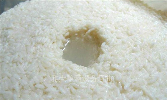 9步用專業(yè)釀酒設(shè)備做出傳統(tǒng)江西客家米酒，客家米酒傳統(tǒng)老工藝-06-米酒發(fā)酵1