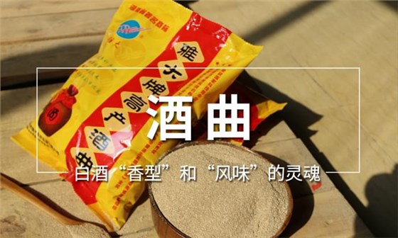 警惕！不銹鋼釀酒設(shè)備操作不當(dāng)給玉米酒帶來邪雜味！-03