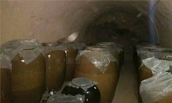 50歲高阿姨借助不銹鋼釀酒設(shè)備，帶領(lǐng)當(dāng)?shù)匕傩瞻l(fā)家致富-09