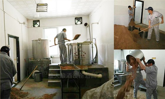 50歲高阿姨借助不銹鋼釀酒設(shè)備，帶領(lǐng)當(dāng)?shù)匕傩瞻l(fā)家致富-10