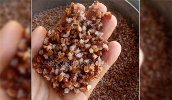 釀酒新設(shè)備釀制古法固態(tài)純糧酒的6大步驟，你清楚嗎？-01-高粱釀酒蒸開花