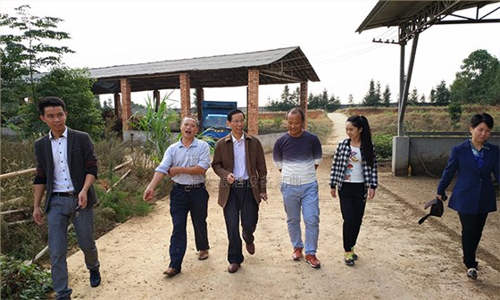 2019年外出打工？不如用多功能釀酒設(shè)備釀酒養(yǎng)牛-04-養(yǎng)殖場地1