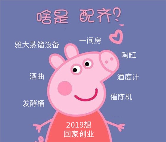 啥是佩奇？2019回家釀酒創(chuàng)業(yè)，全套釀酒設(shè)備要配齊！-02-啥是佩奇2