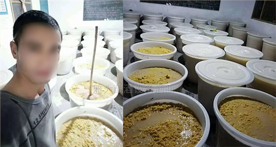 玉米釀酒設(shè)備做的生料玉米酒口感真的有那么差么？-05-玉米生料釀酒