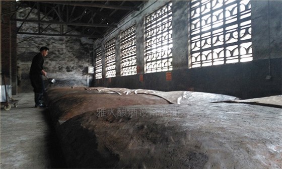 11--用白酒釀酒設(shè)備釀造清香型小曲白酒才是未來發(fā)展趨勢(shì)窖池3