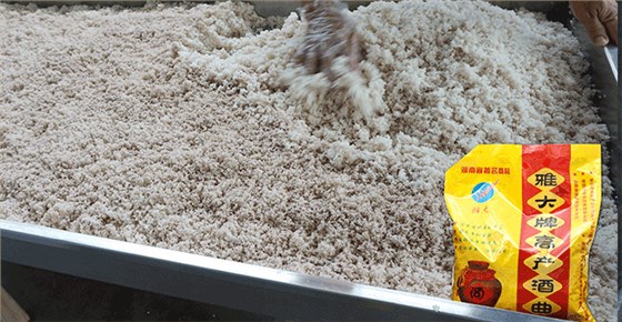 用雅大高產(chǎn)酒曲，發(fā)酵穩(wěn)定、出酒率高