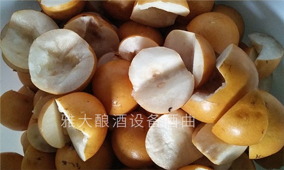 6-幾張圖帶您親臨雅大釀酒設(shè)備梨子酒實(shí)操教學(xué)現(xiàn)場-梨子釀酒方法2