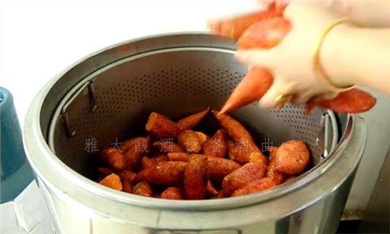 8.10-8步教您用小型酒廠釀酒設(shè)備釀造紅薯酒，純實操！1