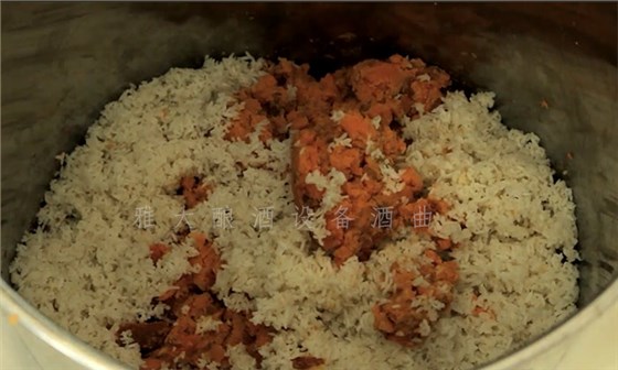 8.10-8步教您用小型酒廠釀酒設(shè)備釀造紅薯酒，純實操！4