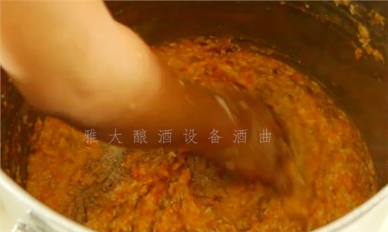 8.10-8步教您用小型酒廠釀酒設(shè)備釀造紅薯酒，純實操！6