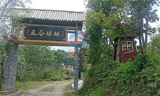 8.20-用蒸酒設(shè)備做酒的老酒坊發(fā)展遇瓶頸，雅大國家釀酒師來破局！9