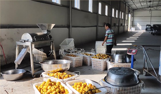 8.24-印江縣黃桃滯銷，冉總引進(jìn)雅大電加熱釀酒設(shè)備靠“釀”帶動銷量-4