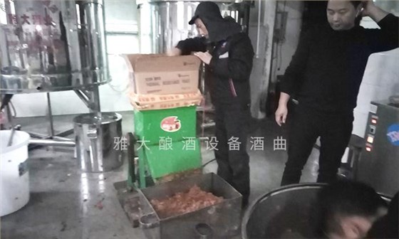 它酷似櫻桃，90后用果酒釀酒設(shè)備將它釀酒，見過的不多 4