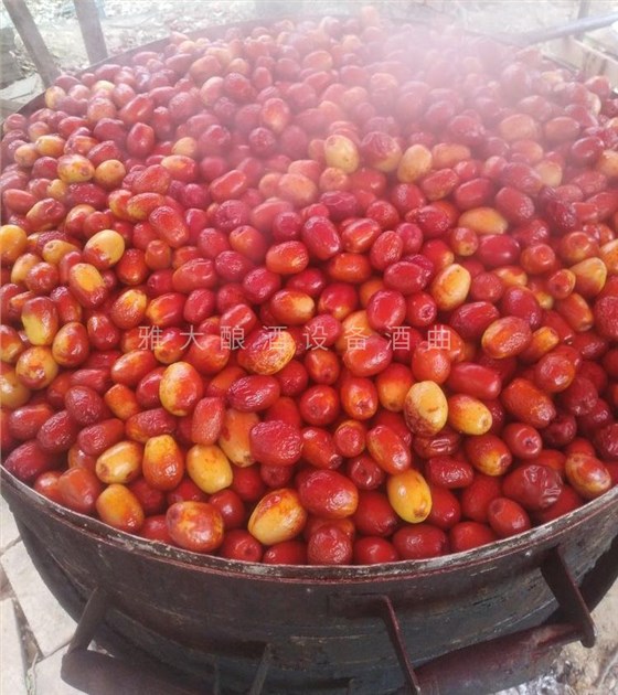 大棗每斤15元不愁賣(mài)，為什么張總還要用新型釀酒設(shè)備做紅棗酒？ 7