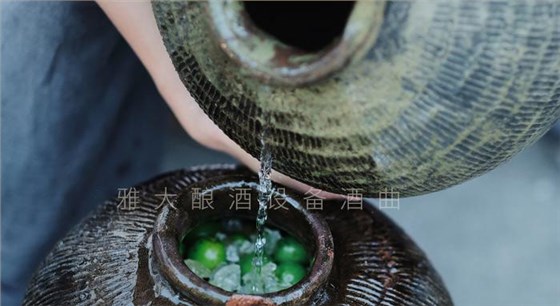 弄1套小型釀酒設(shè)備200型，回家用青梅煮酒（附青梅釀酒技術(shù)） 2