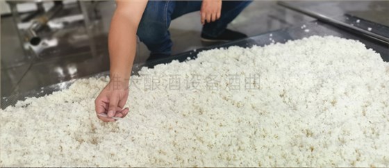 釀酒技術(shù)難不難？自己來學(xué)下 5