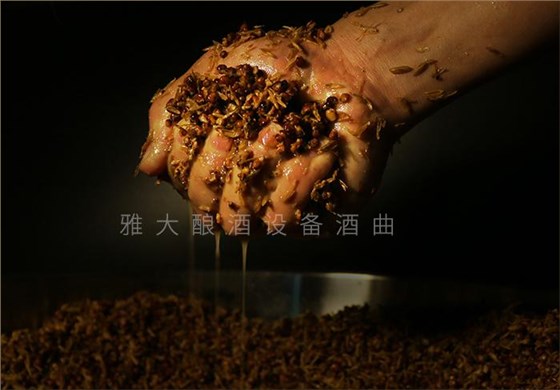 夏季用純糧釀酒設(shè)備做酒一不小心就變酸了，怎么辦？ 4