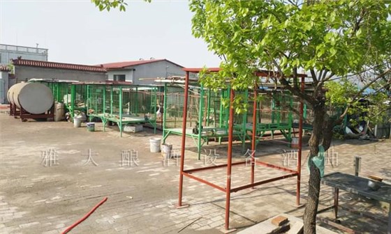 上年紀(jì)后藏獒圈的朋友愛上白酒，拋棄啤酒，為什么？1