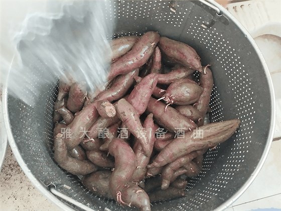 想做紫薯酒，口感好嗎？紫薯釀酒設(shè)備技術(shù) 2