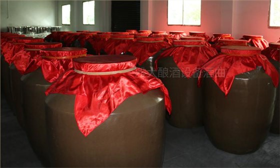 釀酒設(shè)備廠家釀酒師溫馨提示：這2類酒陳放時間越長口感越差！ 4