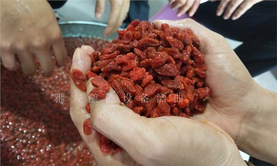 枸杞泡酒你見過，那枸杞發(fā)酵酒你見過嗎？ 3