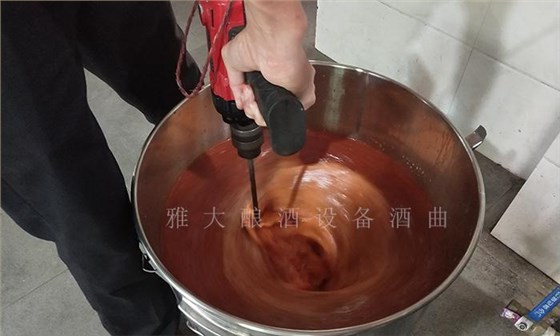 枸杞泡酒你見過，那枸杞發(fā)酵酒你見過嗎？ 7