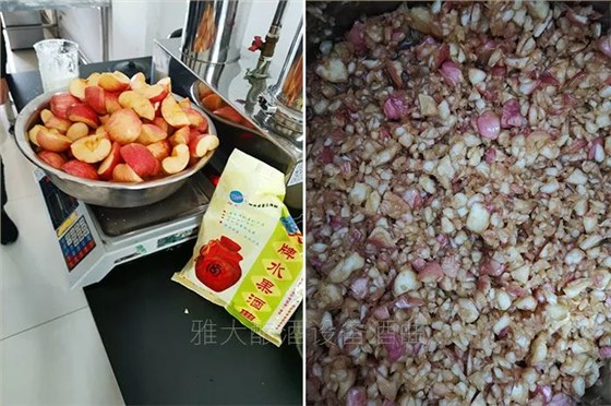 9月28日-10月18購雅大釀酒設(shè)備，多種特色酒實操課免費學(xué)！ 6