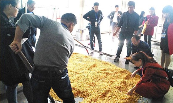 看一百遍不如酒廠釀酒一次，雅大釀酒設(shè)備廠邀您來酒廠實操！ 4