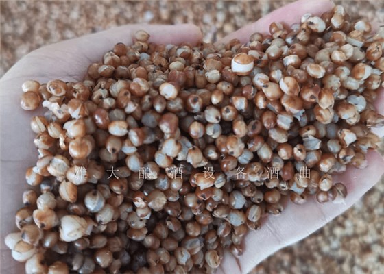 側(cè)開(kāi)口釀酒設(shè)備