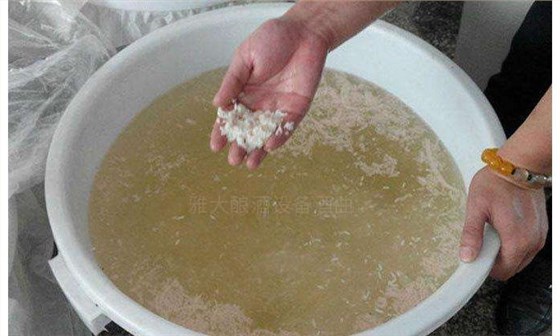 白酒生產(chǎn)設(shè)備釀造的散裝純糧酒糟味太重，怎么辦？ 2